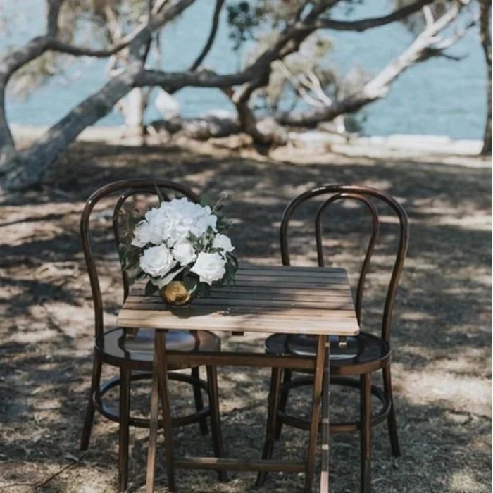 BENTWOOD DINING CHAIR - BROWN - Image 2