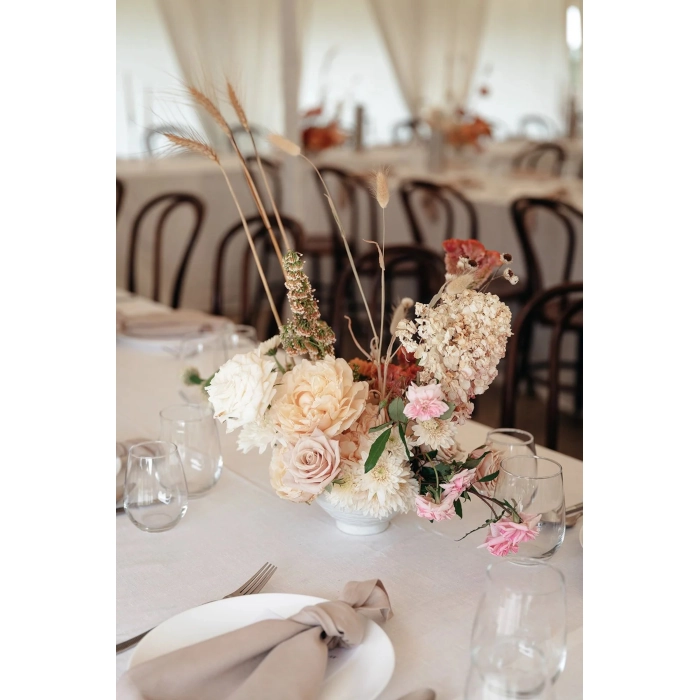 BENTWOOD DINING CHAIR - BROWN - Image 8