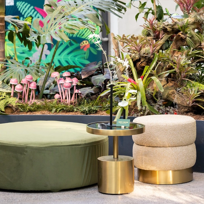 HOLLYWOOD BRASS BISCOTTI - NUDE - Image 5