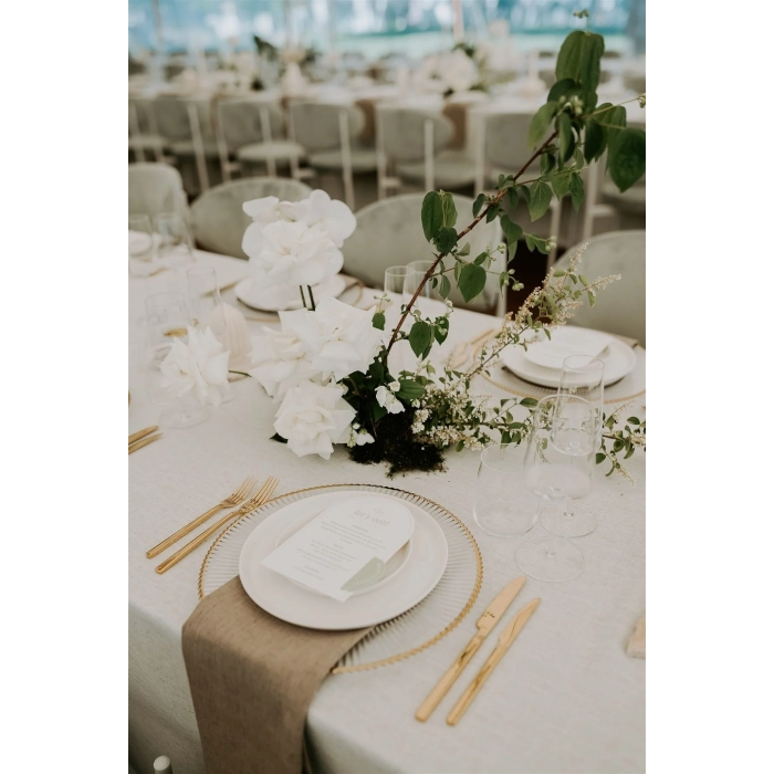 MUSE WINE - Image 10